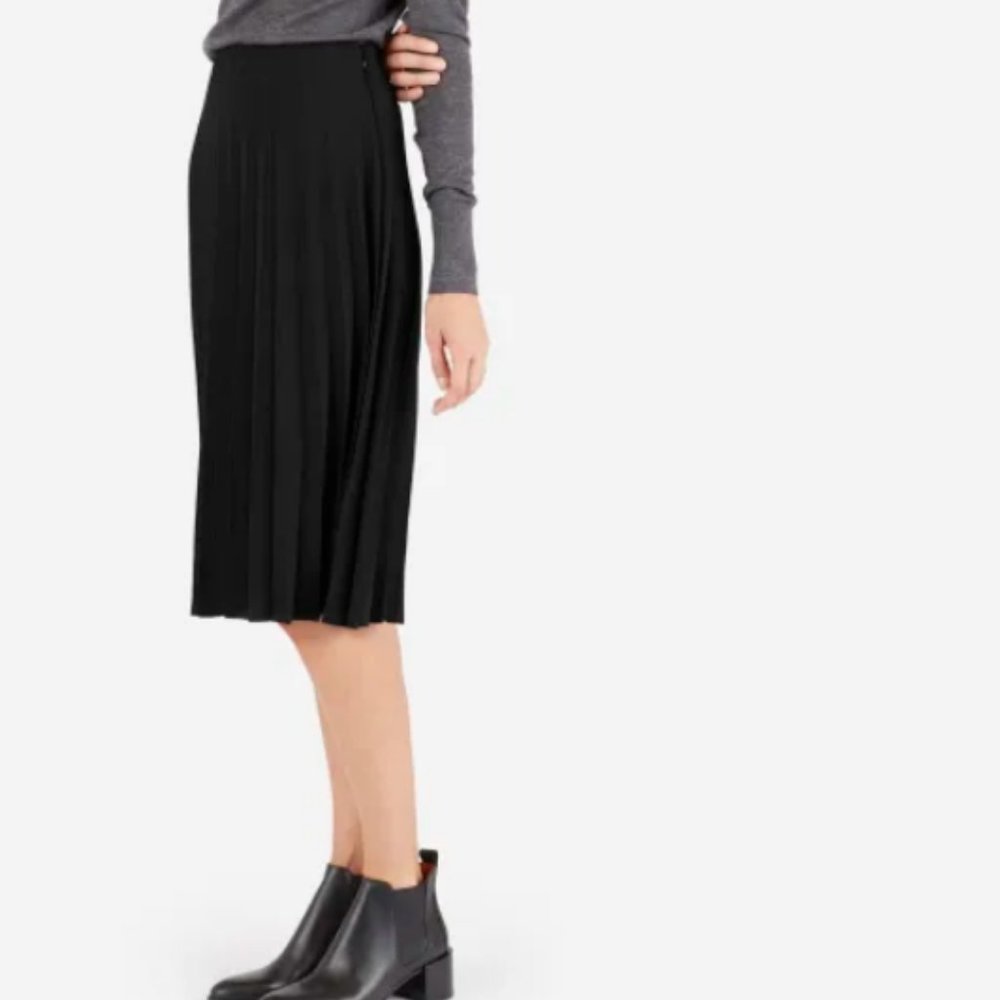 Everlane Navy Blue Pleated Skirt
